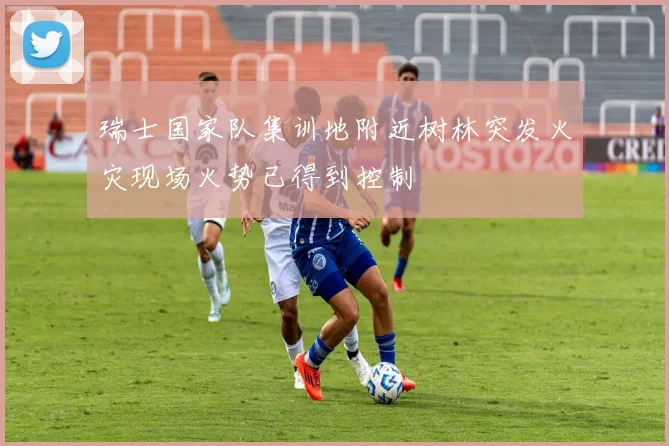 瑞士国家队集训地附近树林突发火灾现场火势已得到控制