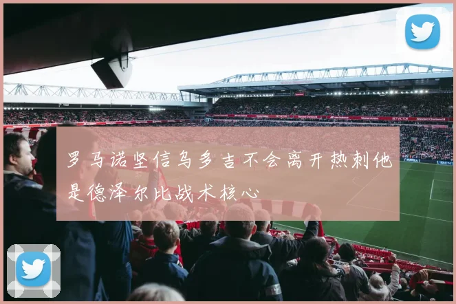 罗马诺坚信乌多吉不会离开热刺他是德泽尔比战术核心